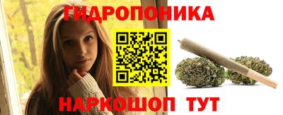 сатива Будённовск