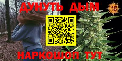 сатива Будённовск